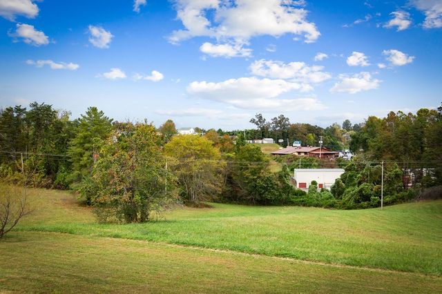 121,165 Orchard Boulevard, Blue Ridge, GA 30513