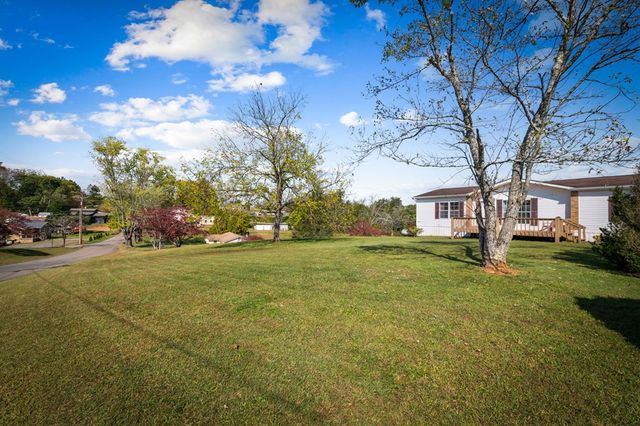 121,165 Orchard Boulevard, Blue Ridge, GA 30513