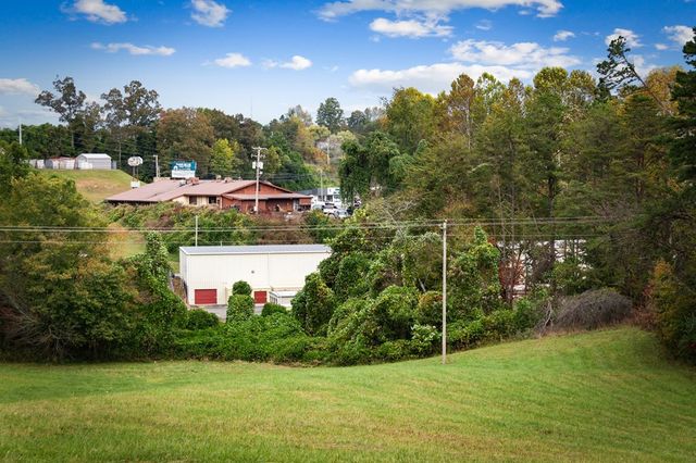 121,165 Orchard Boulevard, Blue Ridge, GA 30513