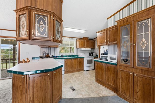 121,165 Orchard Boulevard, Blue Ridge, GA 30513