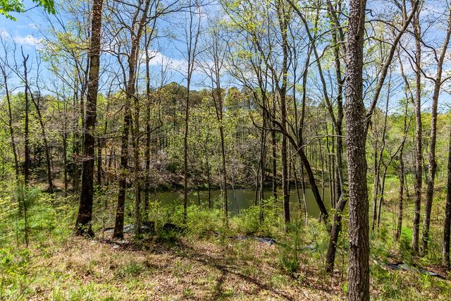 177R Overlook Way, Ellijay, GA 30536