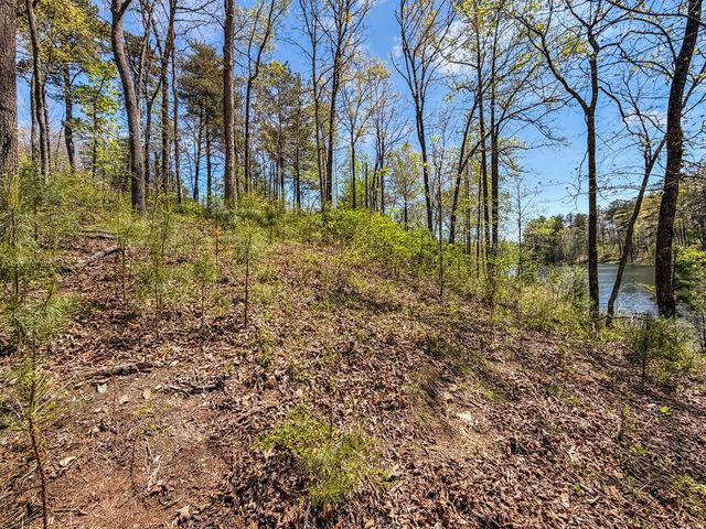 177R Overlook Way, Ellijay, GA 30536
