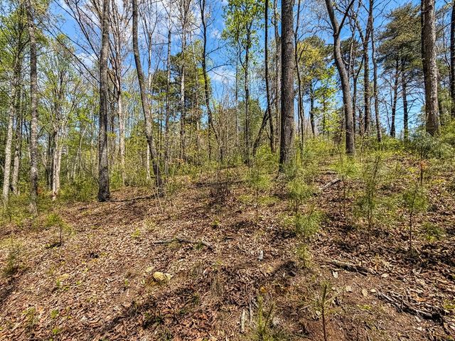 177R Overlook Way, Ellijay, GA 30536