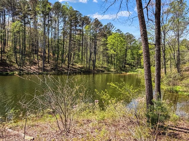177R Overlook Way, Ellijay, GA 30536
