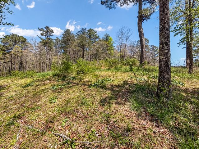 177R Overlook Way, Ellijay, GA 30536