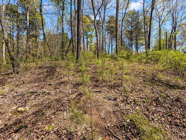 177R Overlook Way, Ellijay, GA 30536