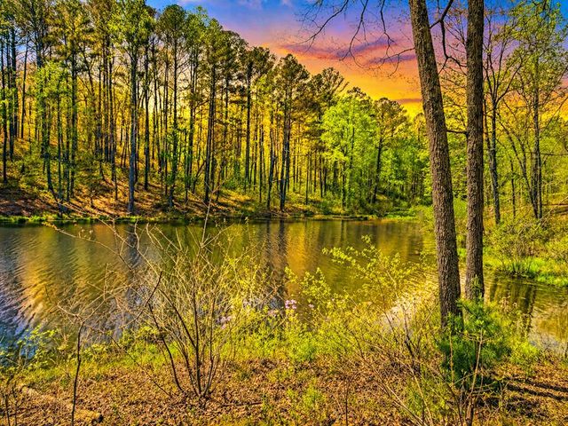 177R Overlook Way, Ellijay, GA 30536