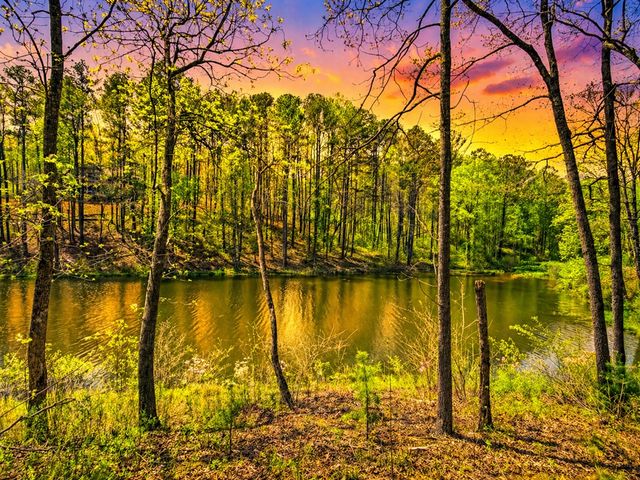 177R Overlook Way, Ellijay, GA 30536
