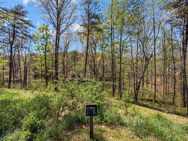 177R Overlook Way, Ellijay, GA 30536