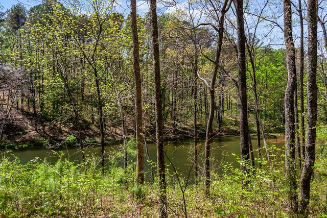 177R Overlook Way, Ellijay, GA 30536