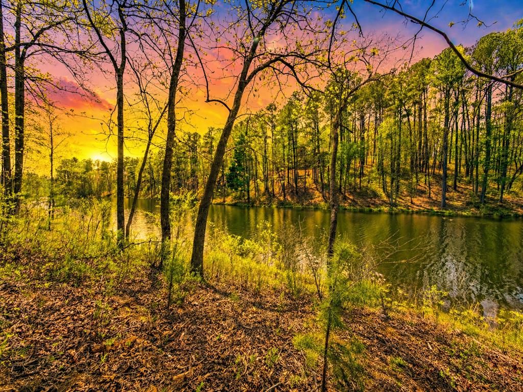 177R Overlook Way, Ellijay, GA 30536