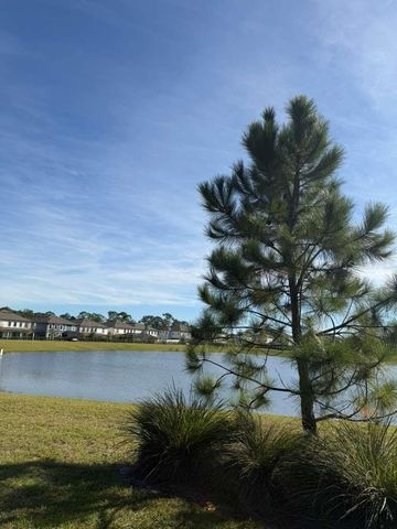 11377 PIXIE MANDARIN COURT, Winter Garden, FL 34787