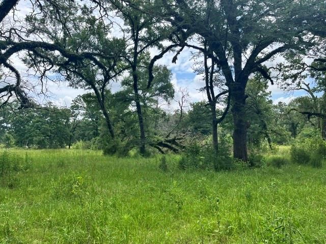 LT76 Pr 1286 Off Cr 114, Centerville, TX 75833