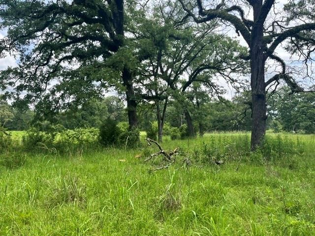 LT76 Pr 1286 Off Cr 114, Centerville, TX 75833