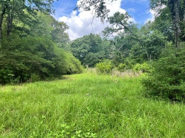 LT76 Pr 1286 Off Cr 114, Centerville, TX 75833