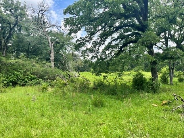 LT76 Pr 1286 Off Cr 114, Centerville, TX 75833