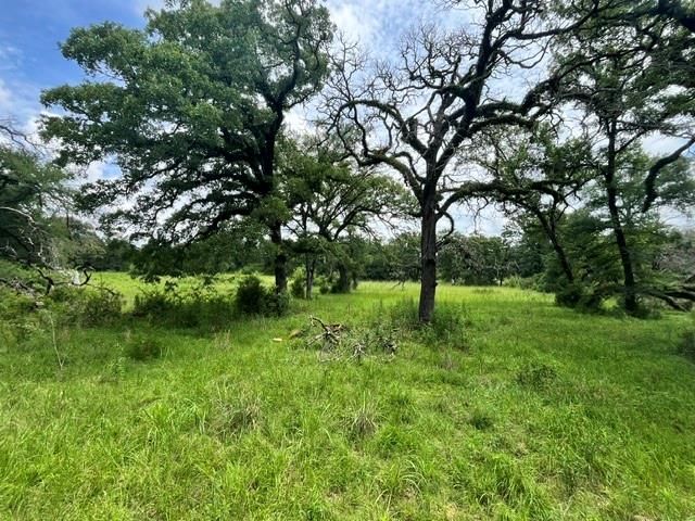 LT76 Pr 1286 Off Cr 114, Centerville, TX 75833
