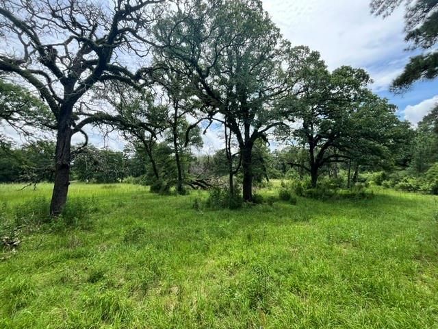 LT76 Pr 1286 Off Cr 114, Centerville, TX 75833