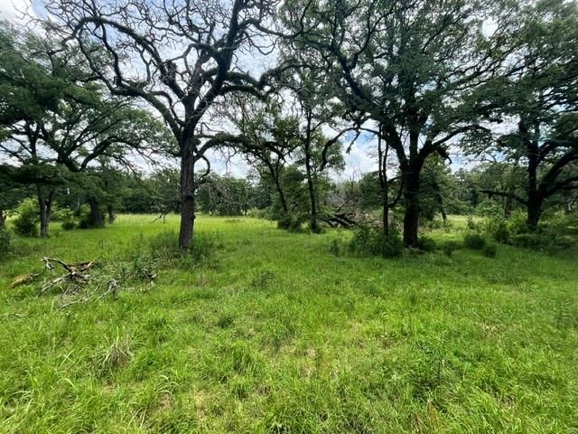 LT76 Pr 1286 Off Cr 114, Centerville, TX 75833