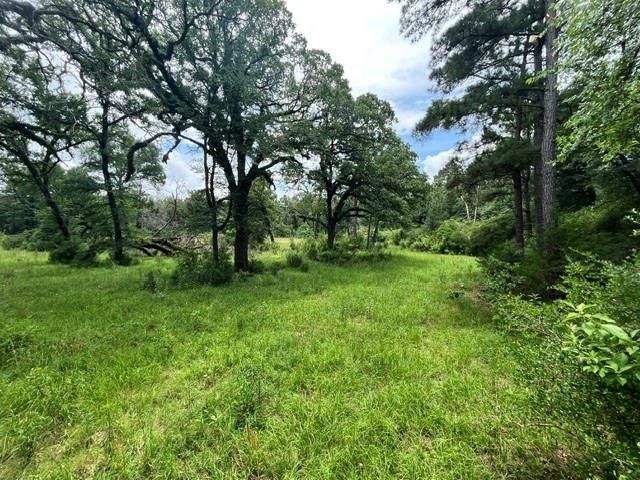 LT76 Pr 1286 Off Cr 114, Centerville, TX 75833