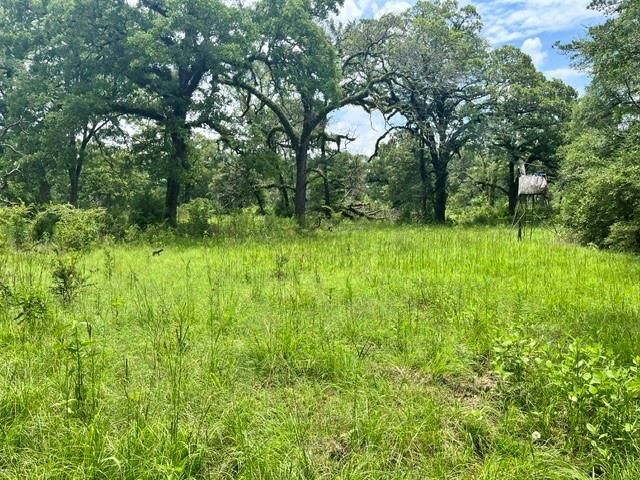 LT76 Pr 1286 Off Cr 114, Centerville, TX 75833