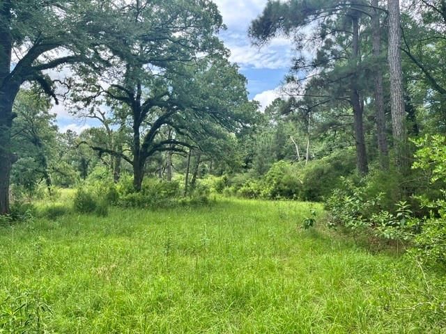 LT76 Pr 1286 Off Cr 114, Centerville, TX 75833