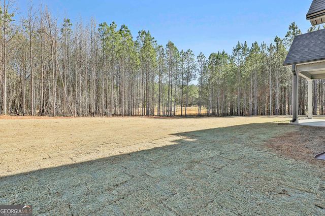 837 Alex Stephens Road LOT 2, Moreland, GA 30259