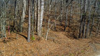 0 Rambling Road, Talking Rock, GA 30175