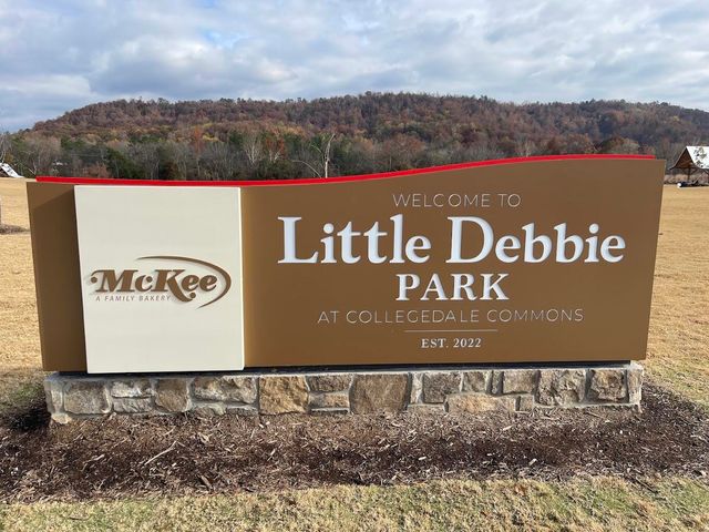 8612 Amberwing Circle, Ooltewah, TN 37363