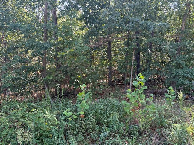 Elsworth Lane, Bella Vista, AR 72714