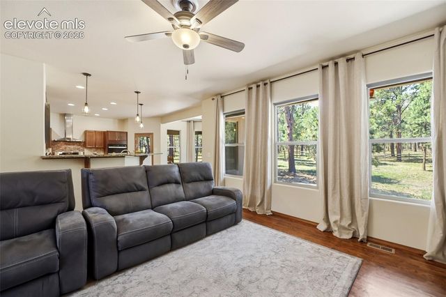 10916 Silver Mountain Point, Colorado Springs, CO 80908