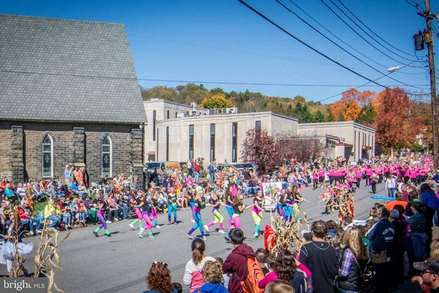 105 MOUNTAIN OVERLOOK COURT, Mc Henry, MD 21541