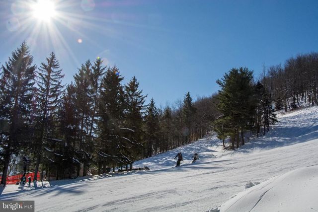 105 MOUNTAIN OVERLOOK COURT, Mc Henry, MD 21541