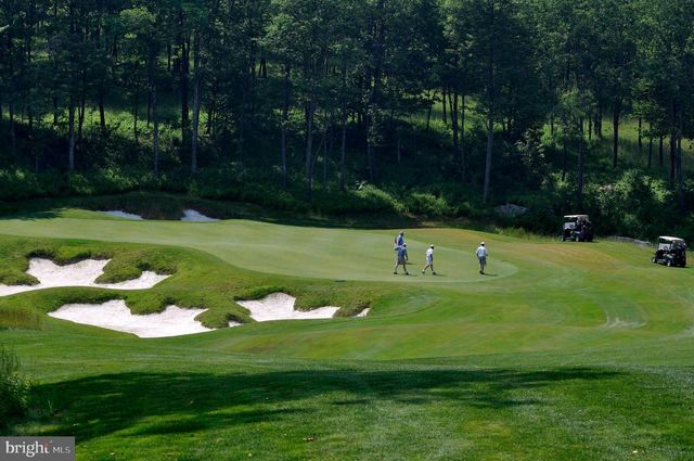 105 MOUNTAIN OVERLOOK COURT, Mc Henry, MD 21541