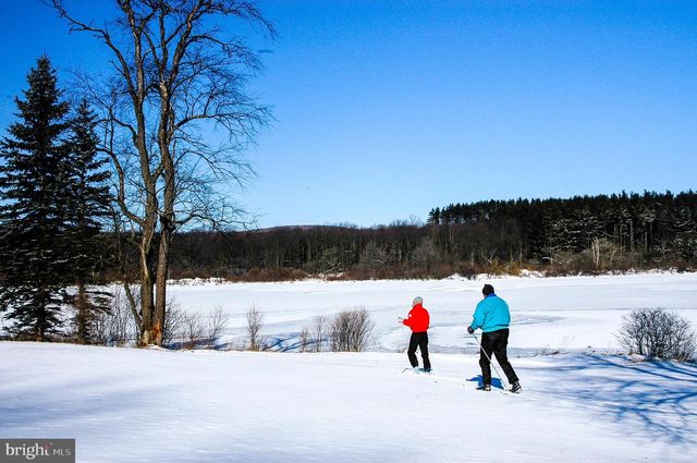 105 MOUNTAIN OVERLOOK COURT, Mc Henry, MD 21541