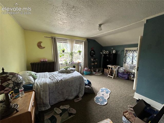 217 S 13th Street, Colorado Springs, CO 80909