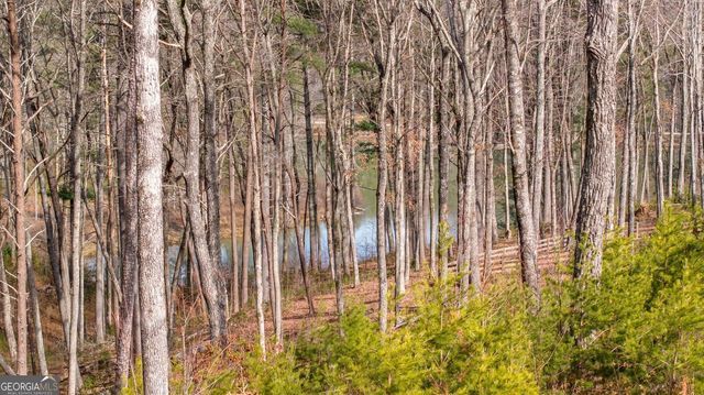 LOT 21 Yonah Lake Drive, Sautee Nacoochee, GA 30571