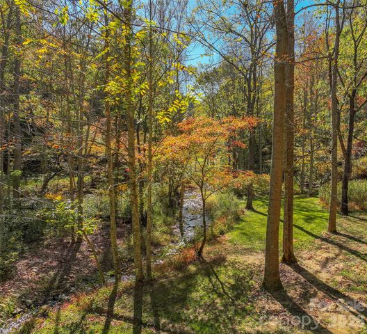 3301 State Highway 197 None N, Burnsville, NC 28714