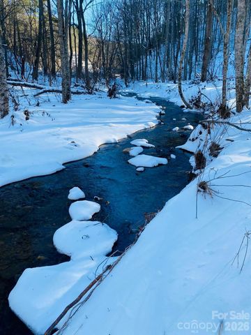 3301 State Highway 197 None N, Burnsville, NC 28714