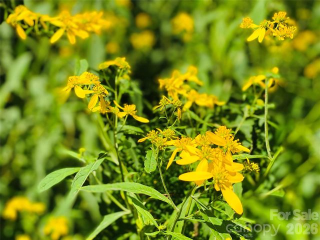 3301 State Highway 197 None N, Burnsville, NC 28714