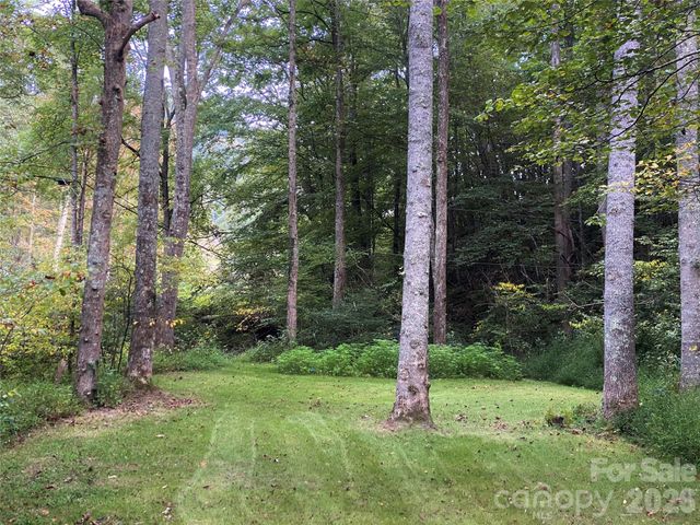 3301 State Highway 197 None N, Burnsville, NC 28714