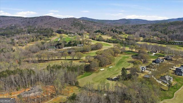 125 Scarlett Pippin Drive, Clarkesville, GA 30523