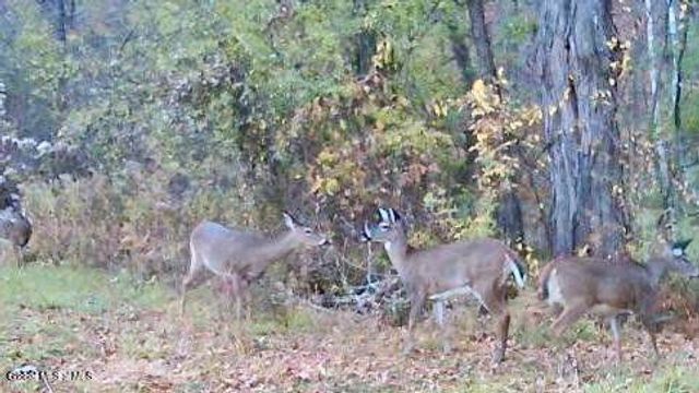 1661 Burch Road, Hartford, NY 12832