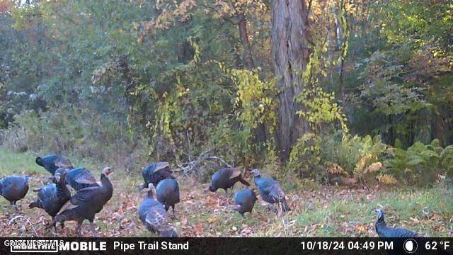 1661 Burch Road, Hartford, NY 12832