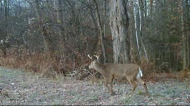 1661 Burch Road, Hartford, NY 12832