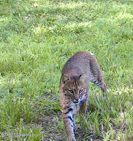 1661 Burch Road, Hartford, NY 12832