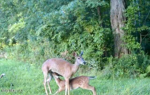 1661 Burch Road, Hartford, NY 12832