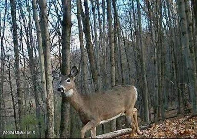 1661 Burch Road, Hartford, NY 12832