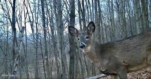 1661 Burch Road, Hartford, NY 12832