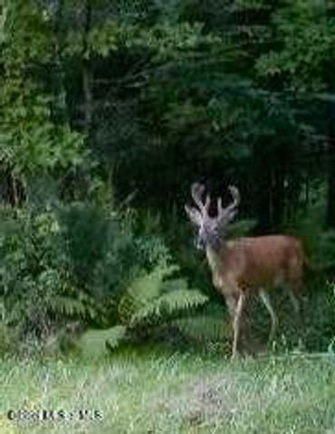 1661 Burch Road, Hartford, NY 12832